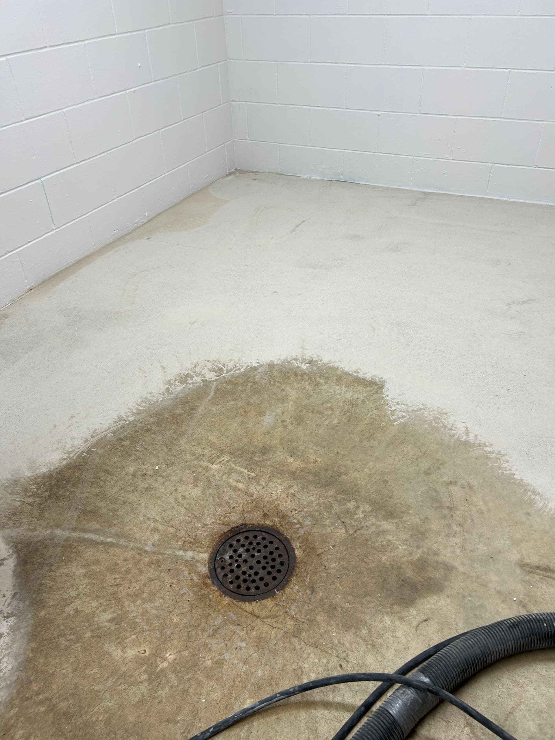 Gallery photos for Full Flake Epoxy on a Basement Floor That Needed It Bad: Image #3